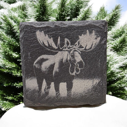 Slate Coaster Sets