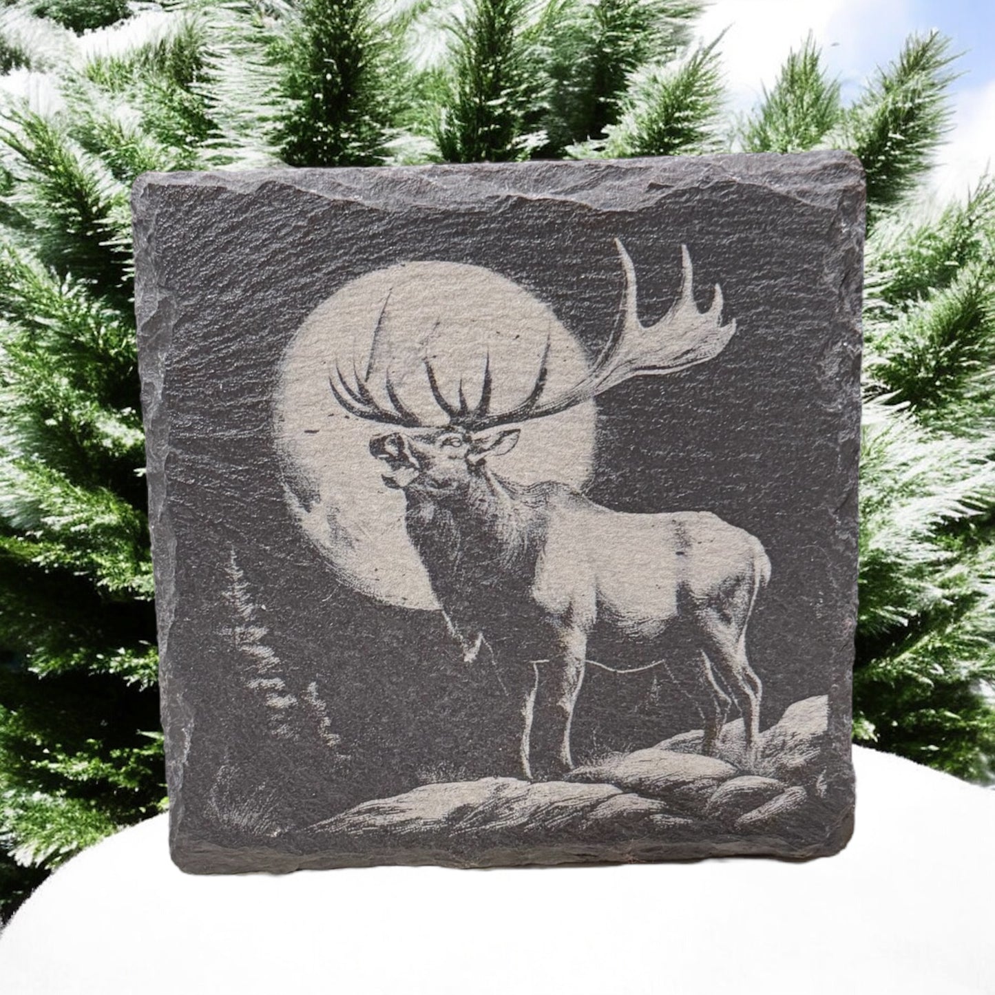 Slate Coaster Sets