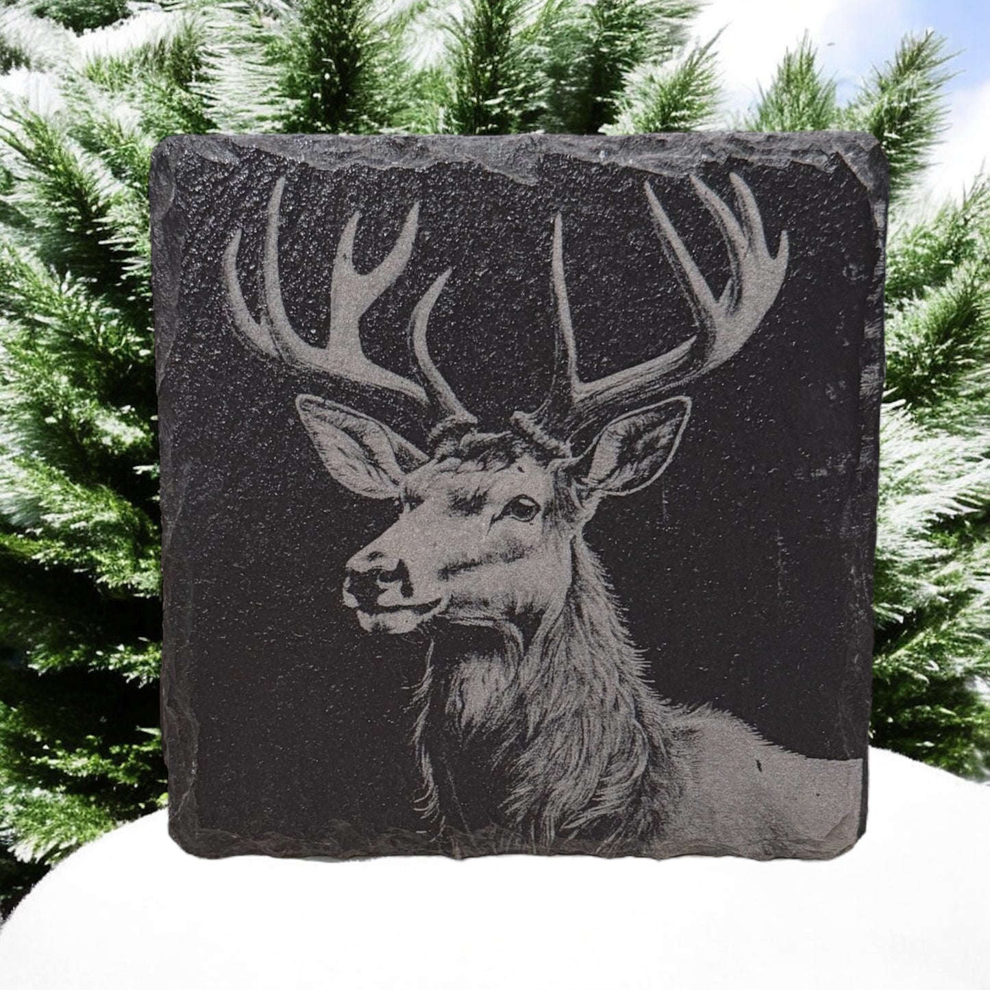 Slate Coaster Sets