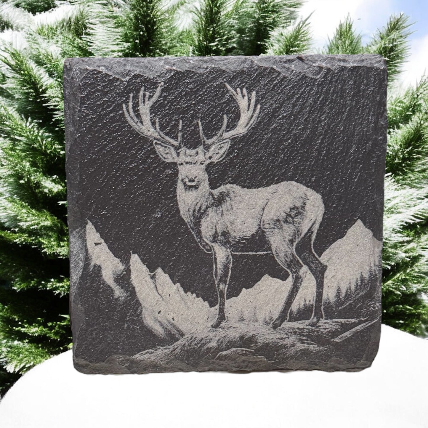 Slate Coaster Sets