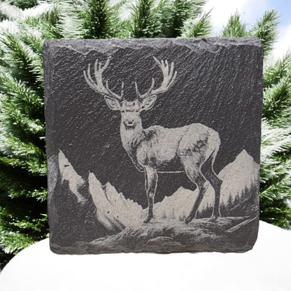 Slate Coaster Sets
